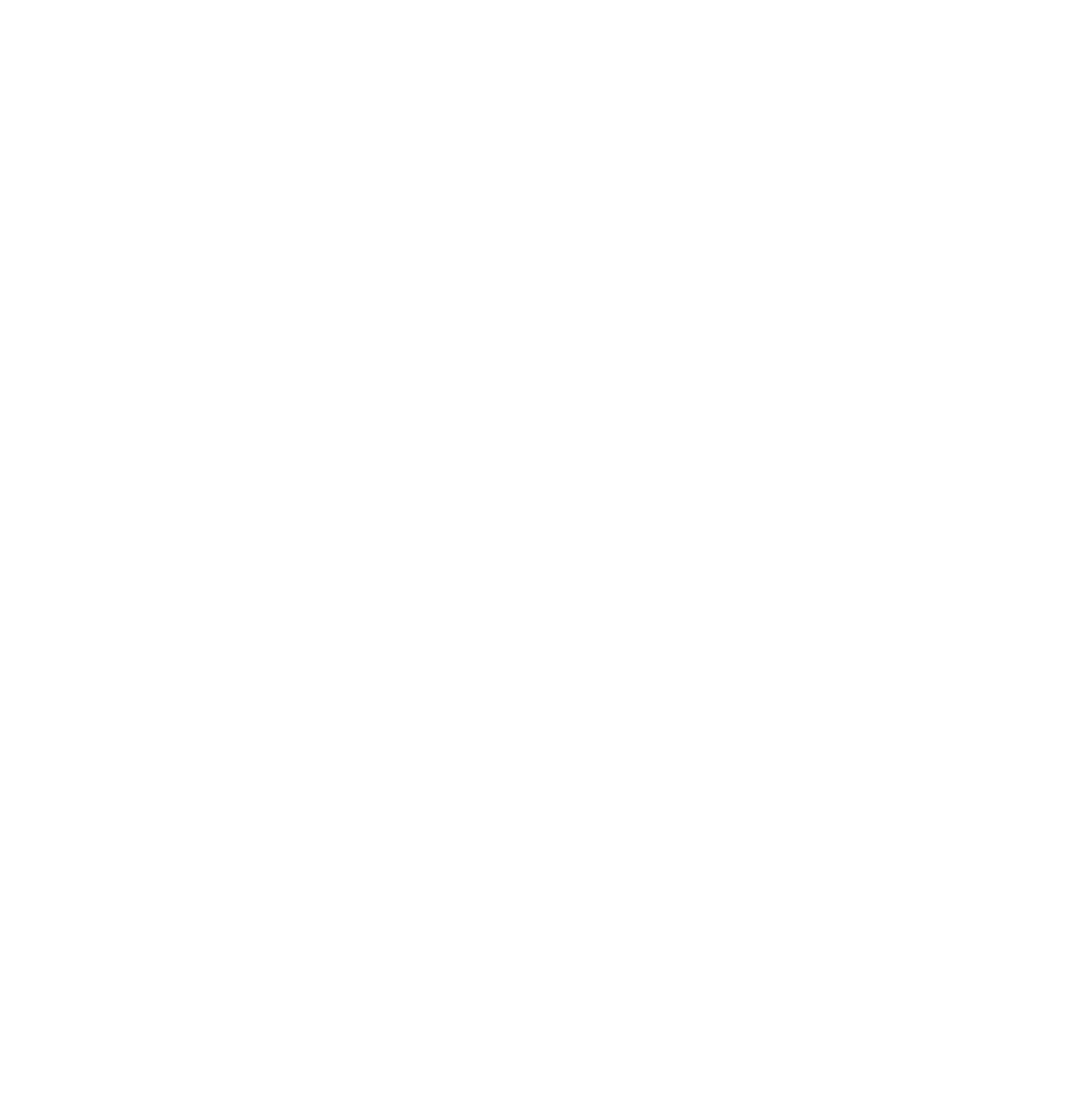 AMS 2 Pro